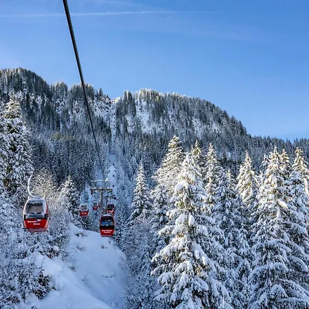 In The Center Of Jochberg