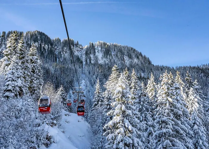 In The Center Of Jochberg