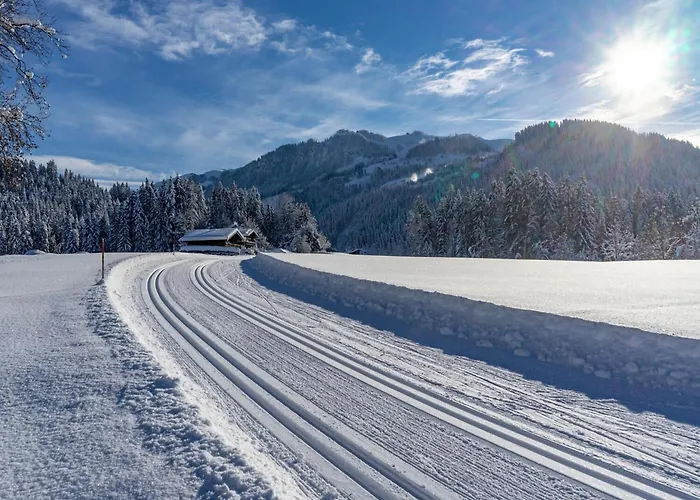 In The Center Of Lägenhet